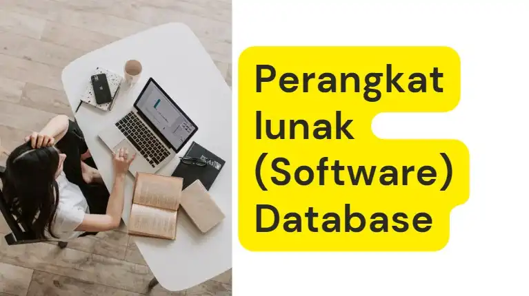 D. Perangkat lunak (Software) Database