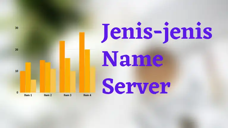 F.  Mengenal jenis-jenis name server